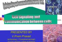 Cell signaling technology