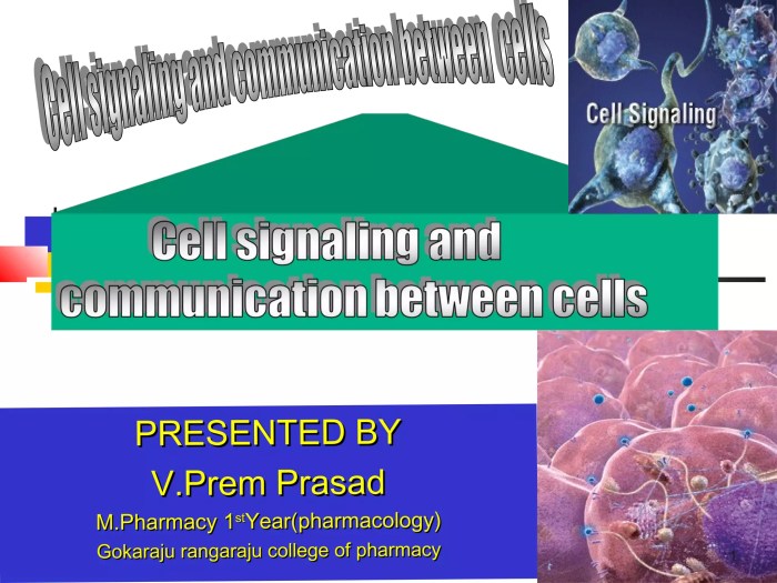 Cell signaling technology